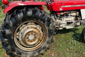 trattore massey Ferguson non targato