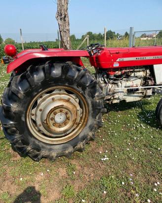 trattore massey Ferguson non targato