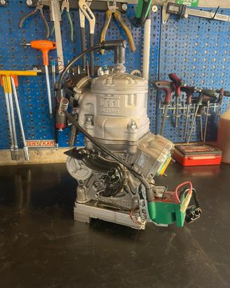 Motore go kart tm ok senior