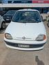 fiat-seicento-900i-cat-s