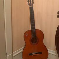 Chitarra Eko