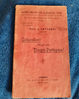 6 libretti 800 primi 900