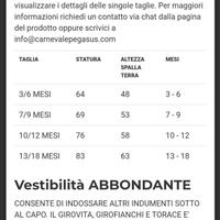 Vestito carnevale fragolina pegasus