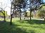 Immagine 24