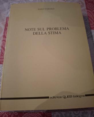 Notesulproblemadellastima–PaoloParuo