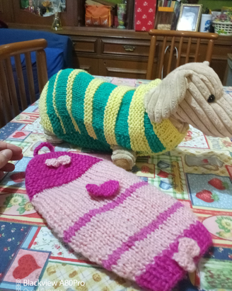 Abbigliamento cagnolino