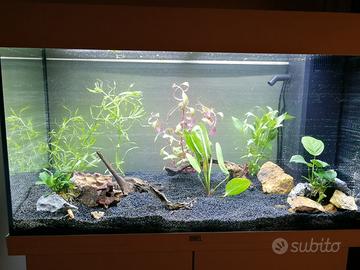 Acquario juwel Rio 125 LED compreso mobiletto orig