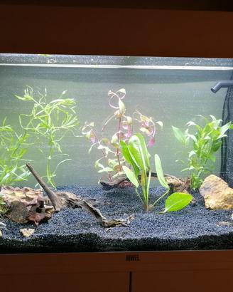 Acquario juwel Rio 125 LED compreso mobiletto orig