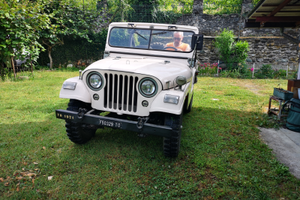 Jeep Willys M38 A1 anno 1960