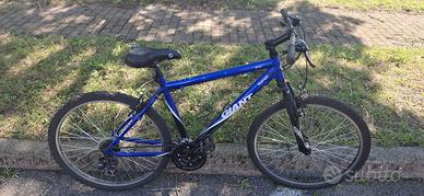 mountain bike