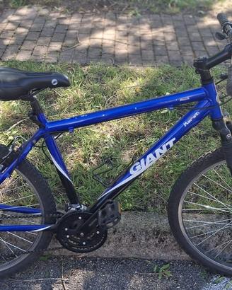 mountain bike
