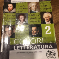 Libro i colori della letteratura