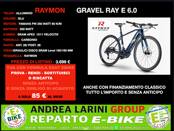 Ebike Gravel Raymon Gravel Ray E 6.0