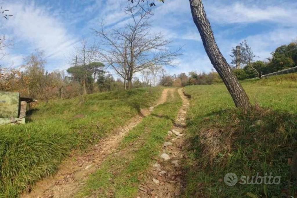 Immobile in asta di 174275 m² a Pieve Fosciana - Vista 2