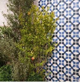 Piastrella 20x20 Sole 03 Lucido Sant'Agostino