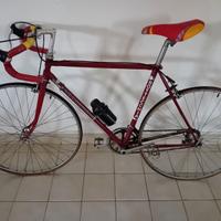 Bottecchia campione del mondo 1966