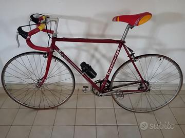 Bottecchia campione del mondo 1966