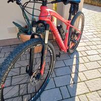 mtb bottecchia 