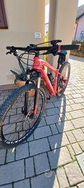 mtb bottecchia 