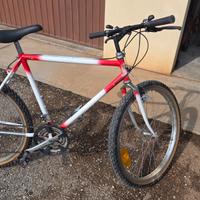 Bicicletta Mountain-Bike