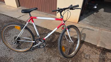 Bicicletta Mountain-Bike