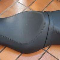 Sulla biposto Moto Harley Davinson