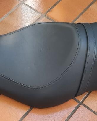 Sulla biposto Moto Harley Davinson