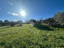ter-agricolo-a-narni