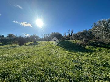 TER. AGRICOLO A NARNI