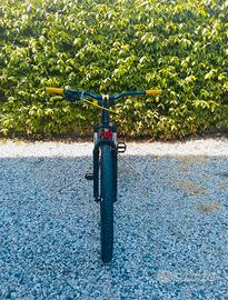 Whellie Bike Orbea Onna 50