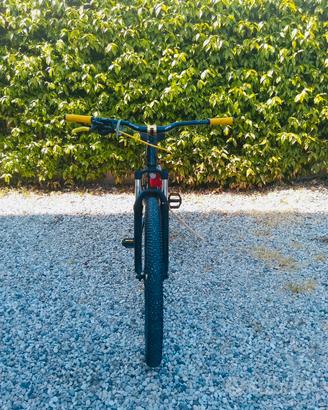 Whellie Bike Orbea Onna 50