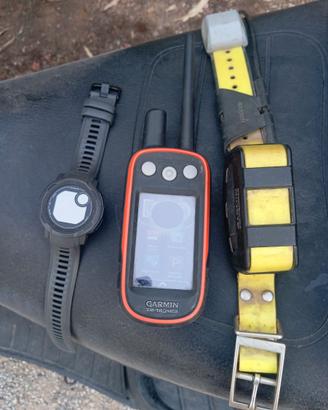 Garmin