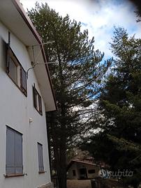 Vacanza tranquilla adiacente Parco Nazionale Sila