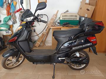 Bicicletta elettrica