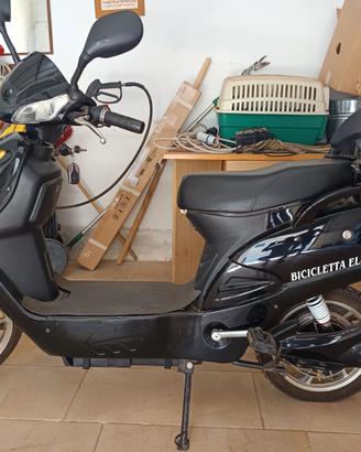 Bicicletta elettrica