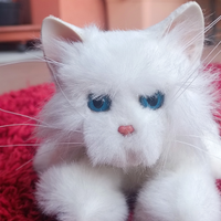 Peluche#pupazzo gattino bianco lunghezza 26 cm lar