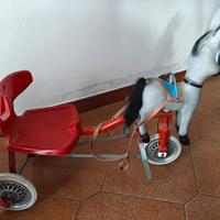 giordani -auto pedali-bici giordani 