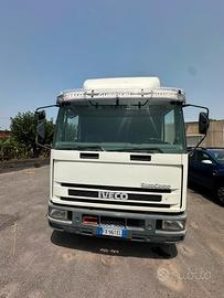 IVECO 80E18 – AUTOCARRO CON CASSONE CENTINATO
