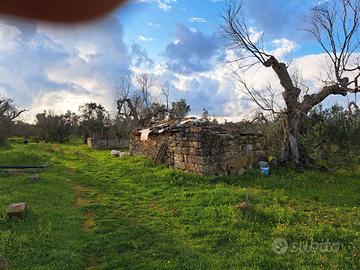 Terreno agricolo