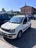 fiat-panda-1-2-benzina-gpl-neopatentati