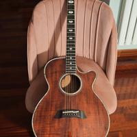 Takamine Limited Edition 1991