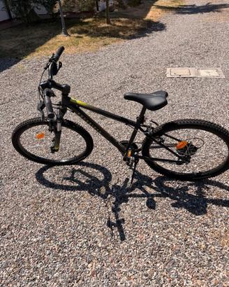MTB 24"
