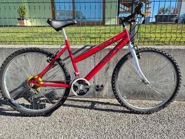 bici mtb