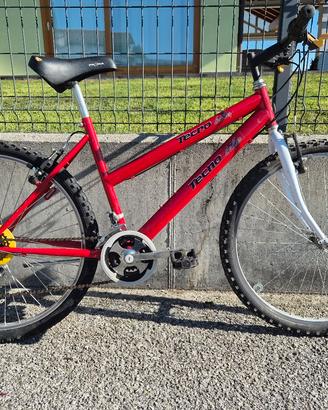 bici mtb
