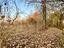 Immagine 12