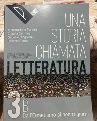 Una storia chiamata letteratura 3B