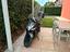 Immagine 1