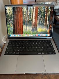 Apple MacBook Pro A2442 M1 Pro 14”