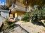Immagine 26