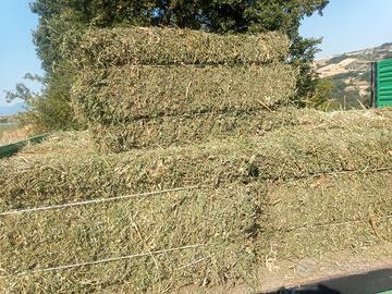 ballette di erba medica paglia